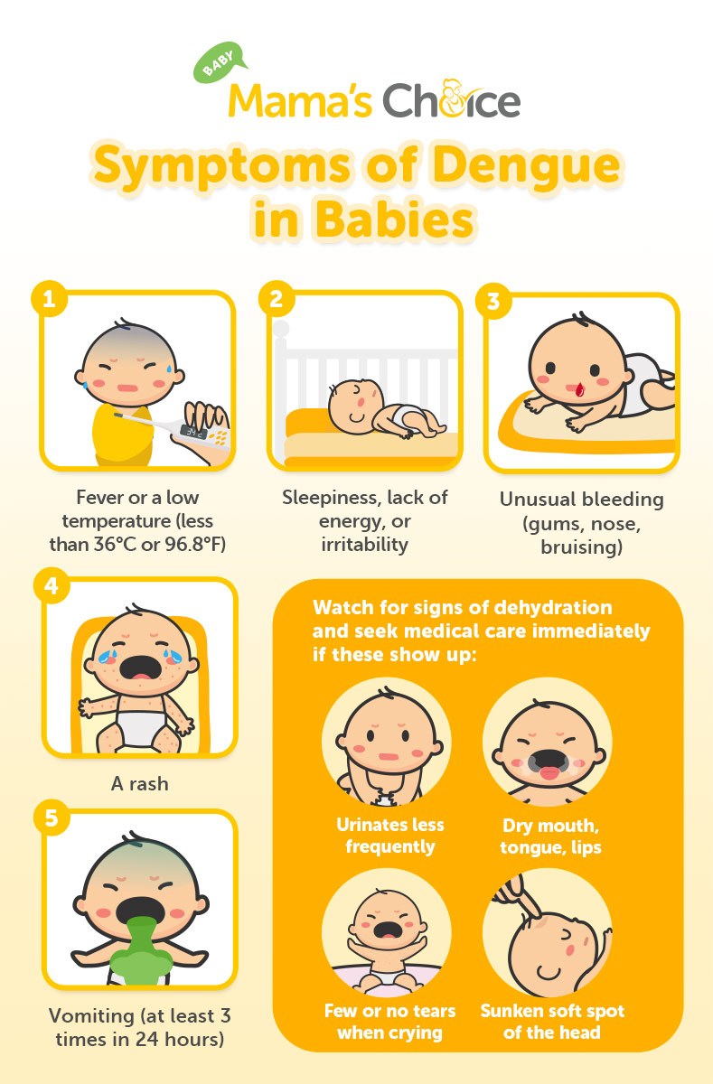 Symptoms of dengue in babies